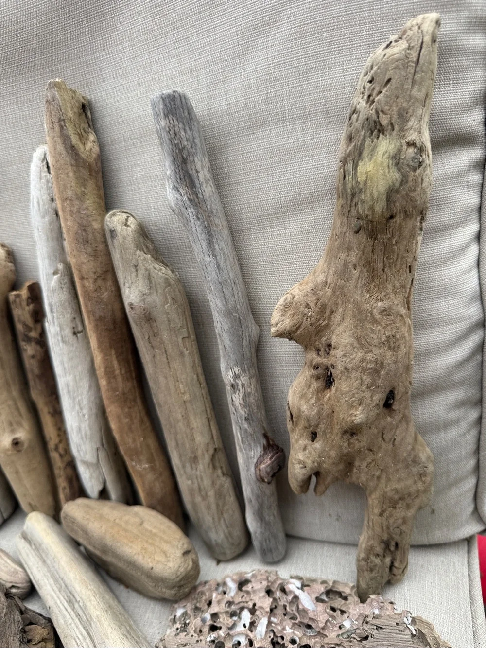 35 pcs (5lbs shipped) Natural Driftwood Pieces for decor, arts, crafts, projects